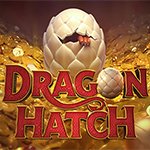 Dragon Hatch